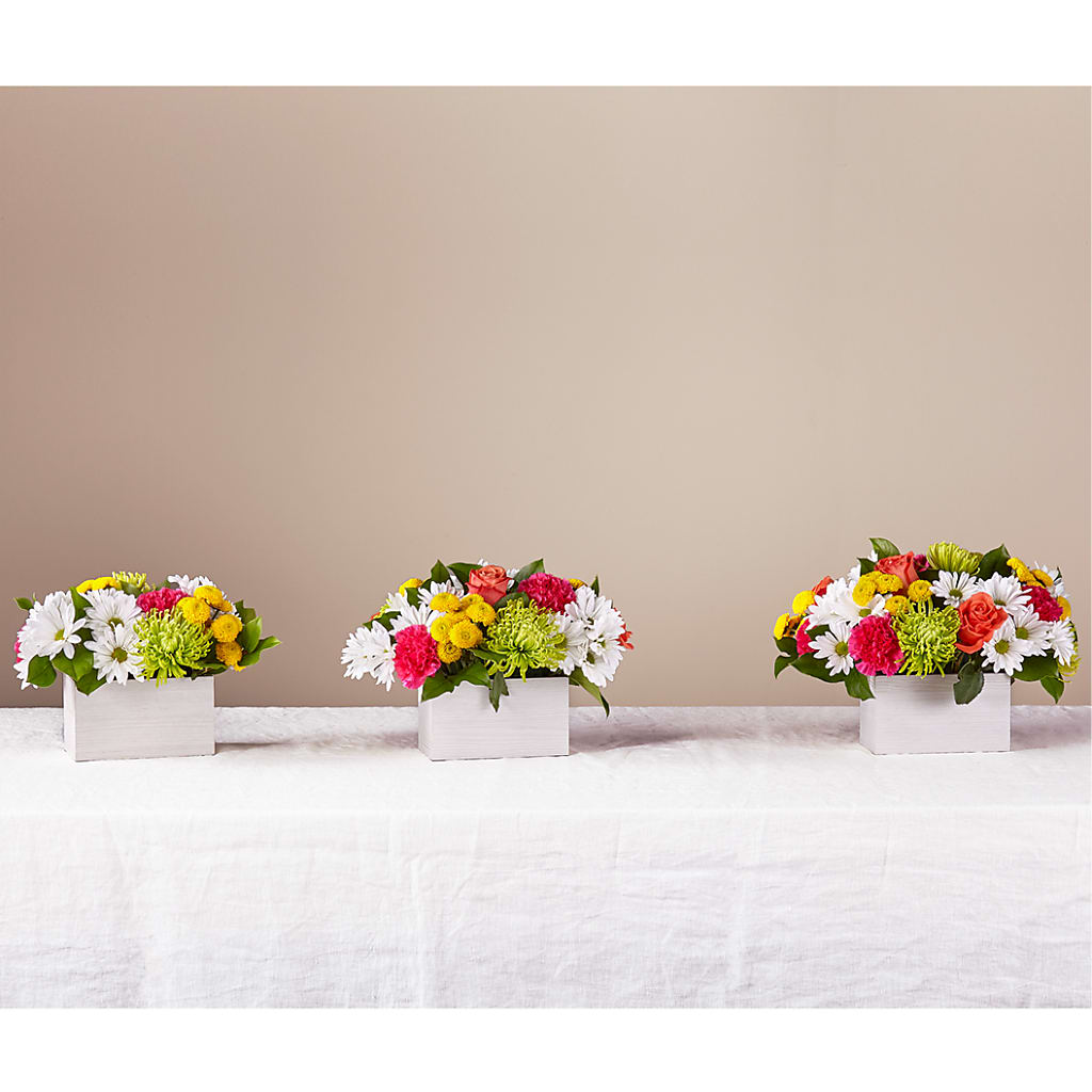 Sorbet Bouquet – Blooms For You, Hamilton NJ