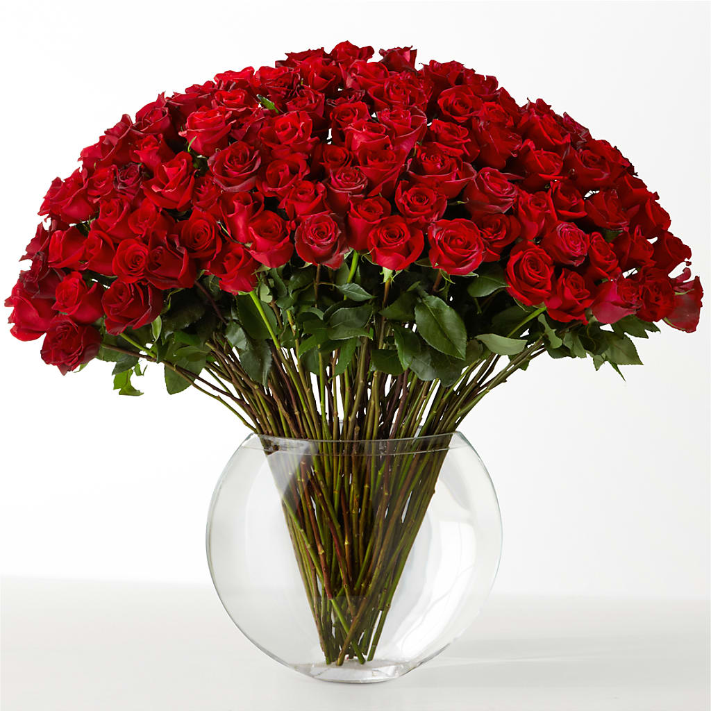 The Idealist – Blooms For You, Hamilton NJ
