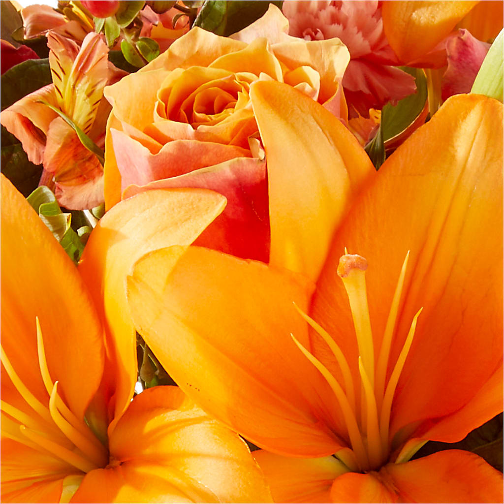 Afternoon Light Bouquet –  Blooms For You, Hamilton NJ