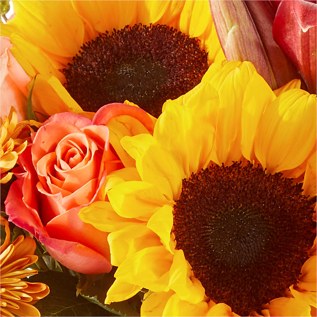 Acorn Lane Bouquet –  Blooms For You, Hamilton NJ