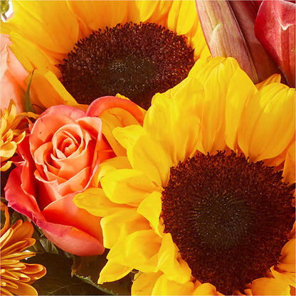 Acorn Lane Bouquet –  Blooms For You, Hamilton NJ