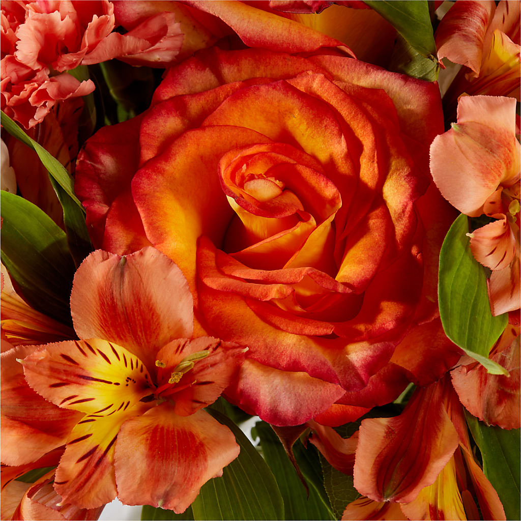 Apricot Glow Bouquet –  Blooms For You, Hamilton NJ