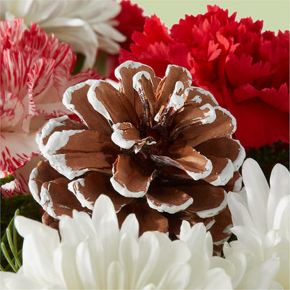 Candy Cane Lane Bouquet –  Blooms For You, Hamilton NJ