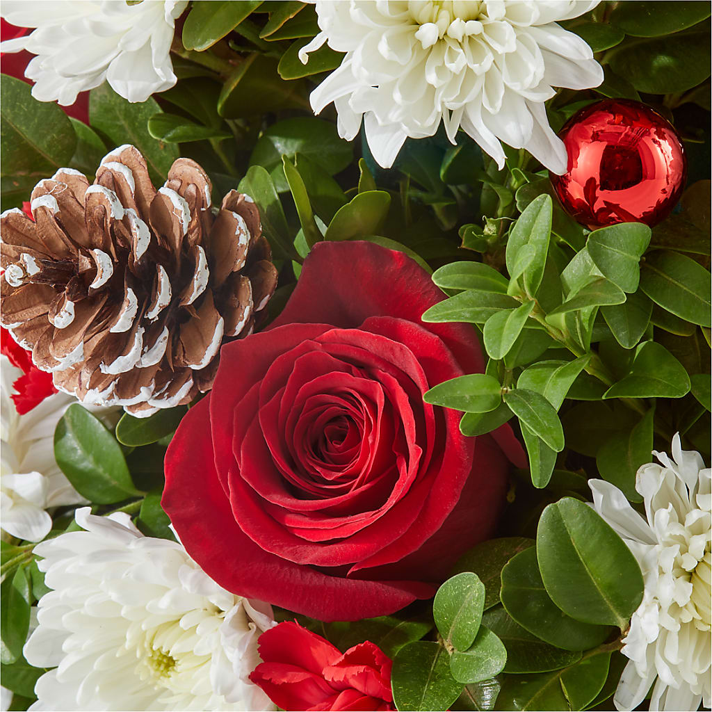 Let It Snow Tree –  Blooms For You, Hamilton NJ