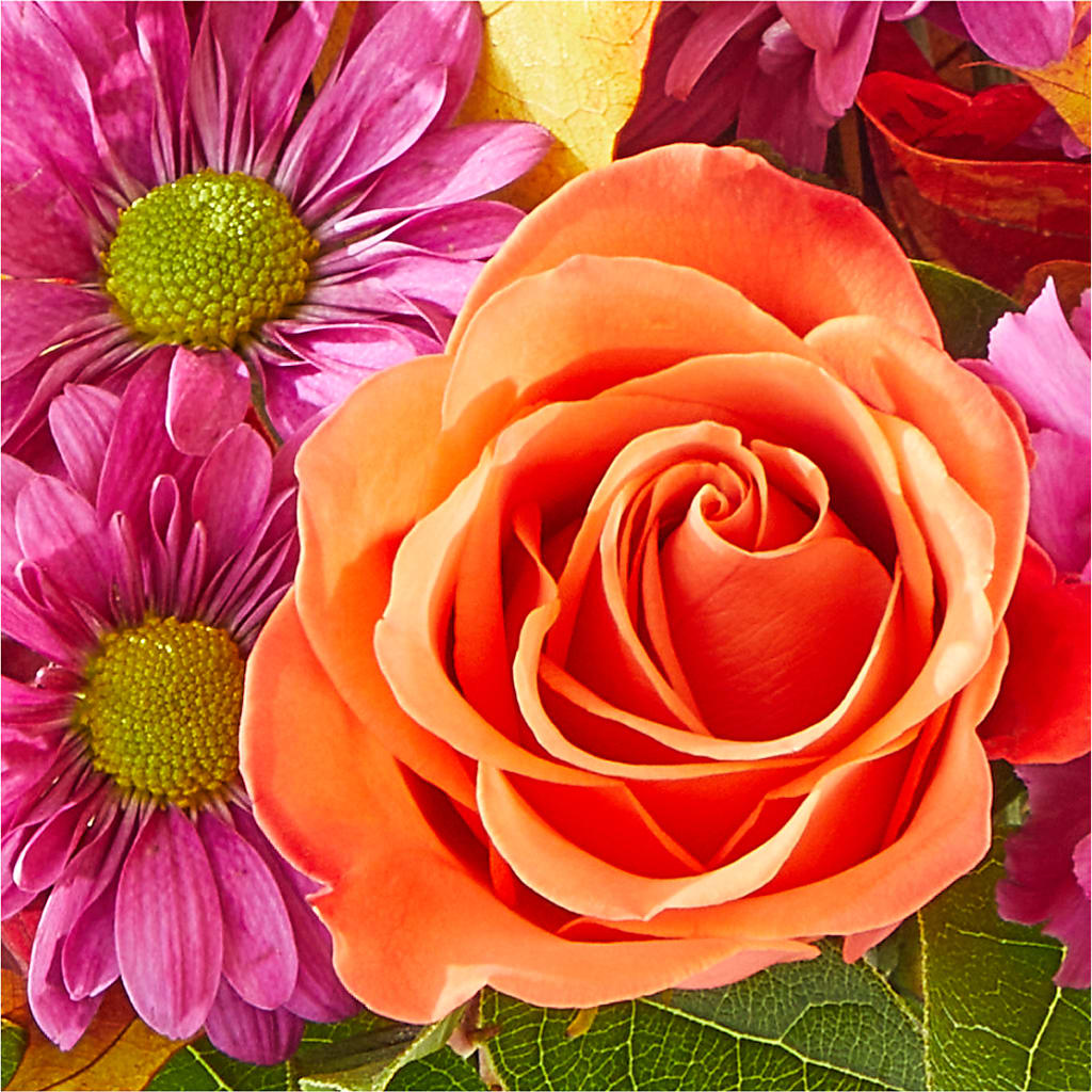 Mum's the Word Bouquet –  Blooms For You, Hamilton NJ