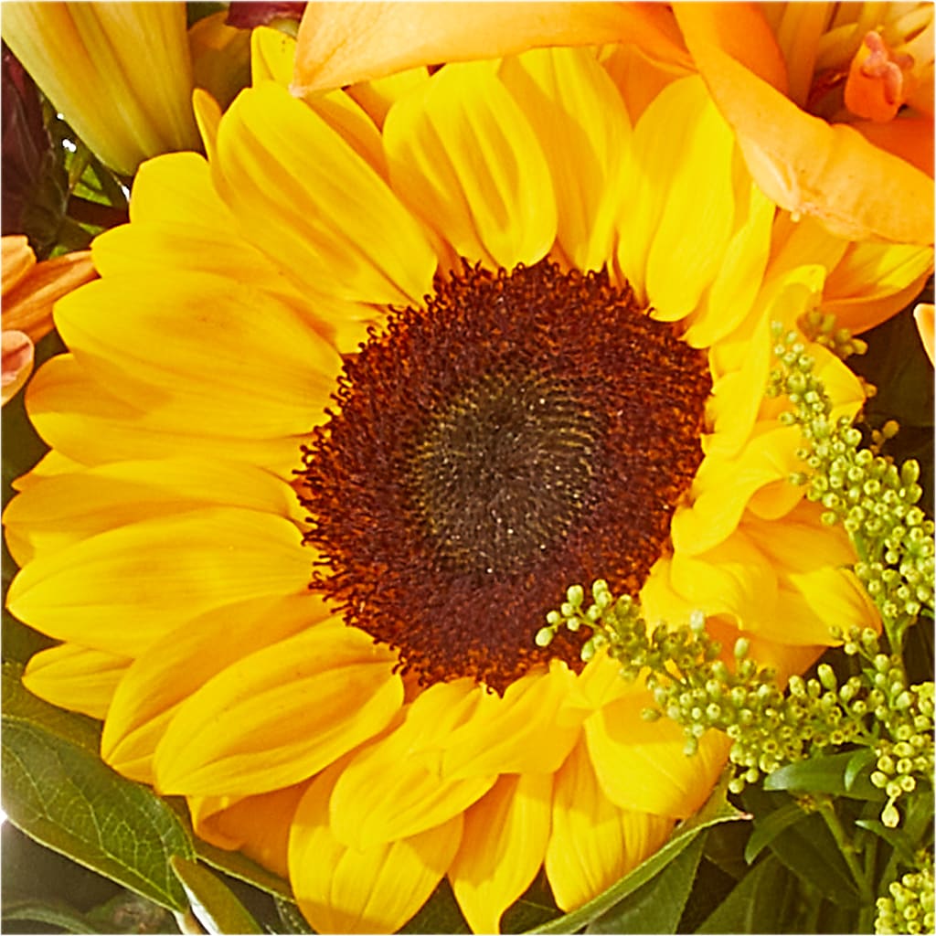 Seasons Change Bouquet –  Blooms For You, Hamilton NJ