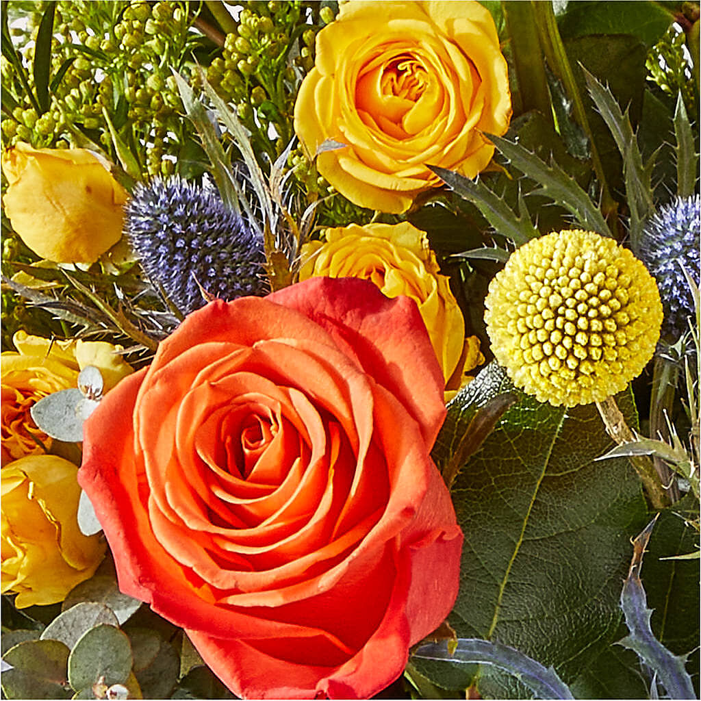 Disco Bouquet –  Blooms For You, Hamilton NJ