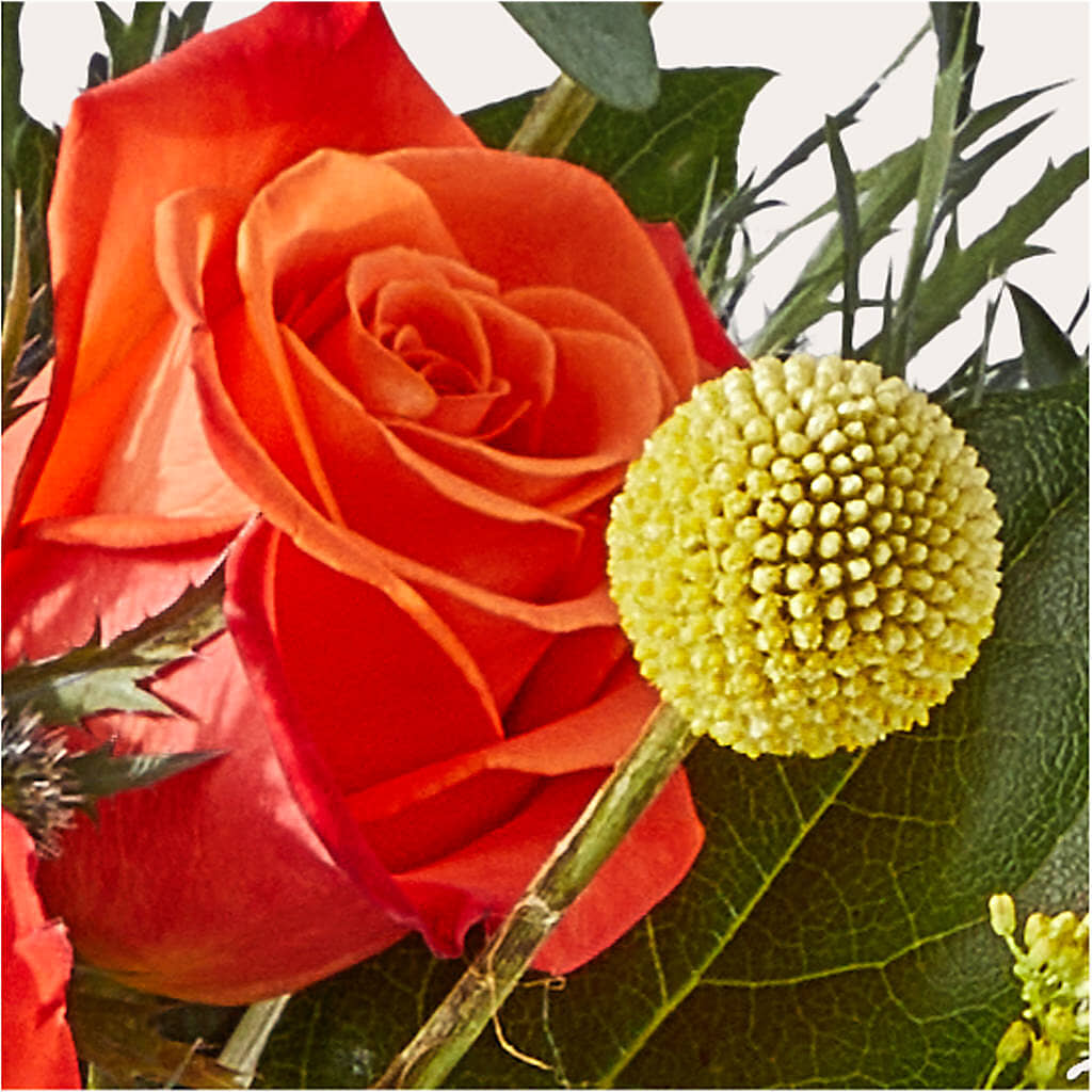 Disco Bouquet –  Blooms For You, Hamilton NJ