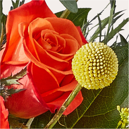 Disco Bouquet –  Blooms For You, Hamilton NJ