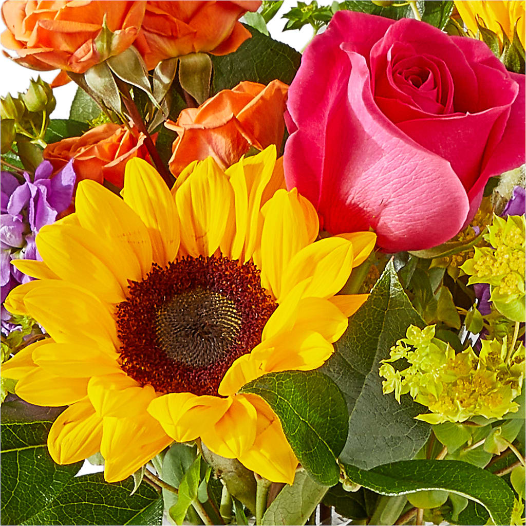 Vibrant Greetings Bouquet –  Blooms For You, Hamilton NJ