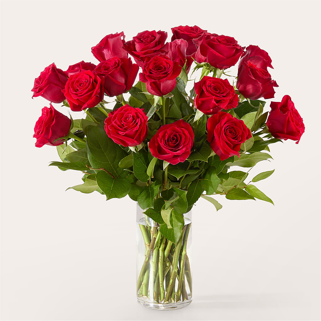 The One Red Rose Bouquet –  Blooms For You, Hamilton NJ