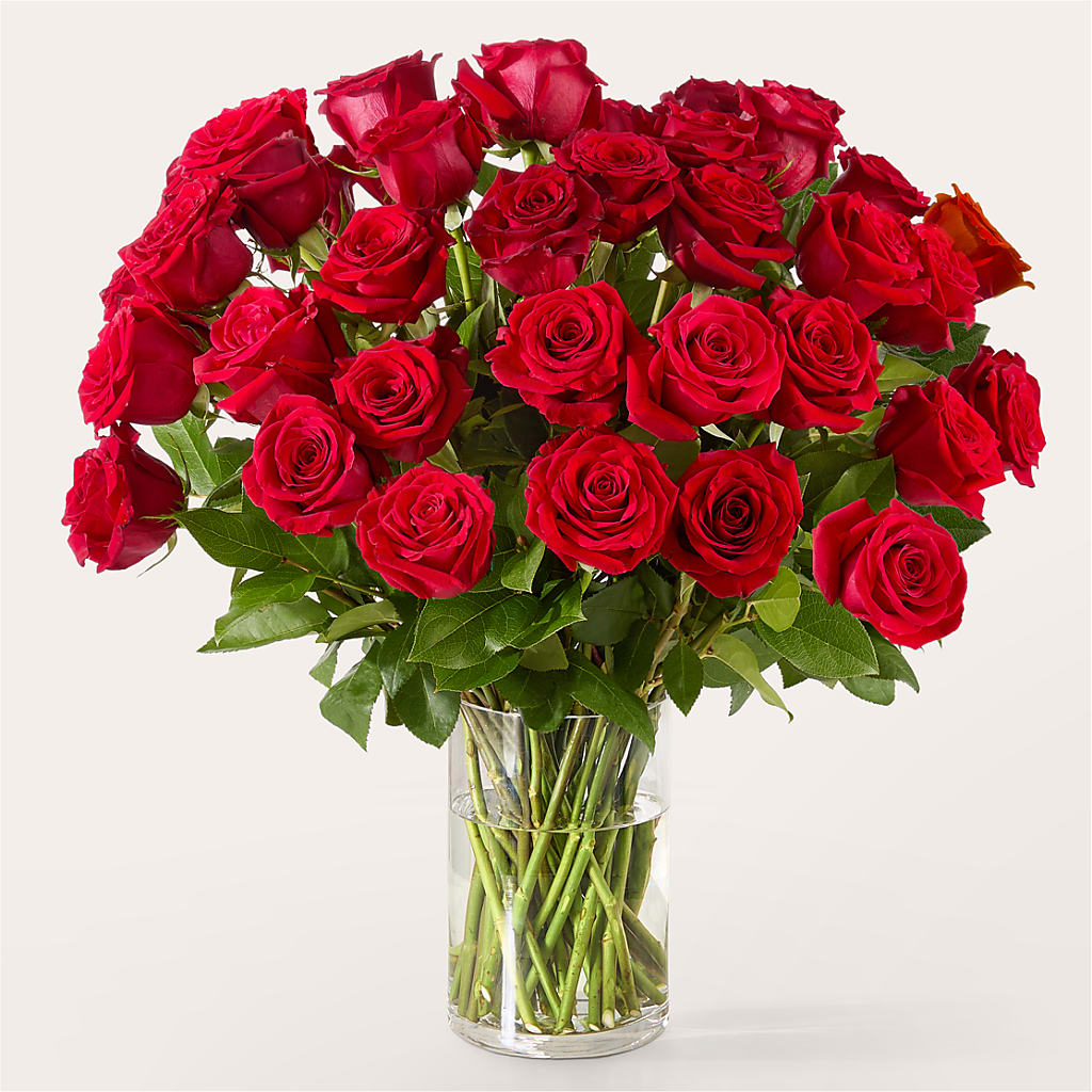 The One Red Rose Bouquet –  Blooms For You, Hamilton NJ