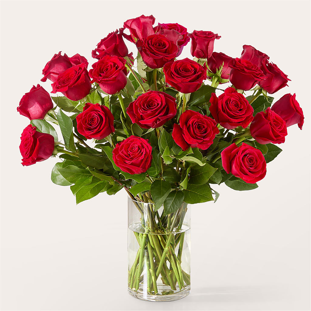 The One Red Rose Bouquet –  Blooms For You, Hamilton NJ