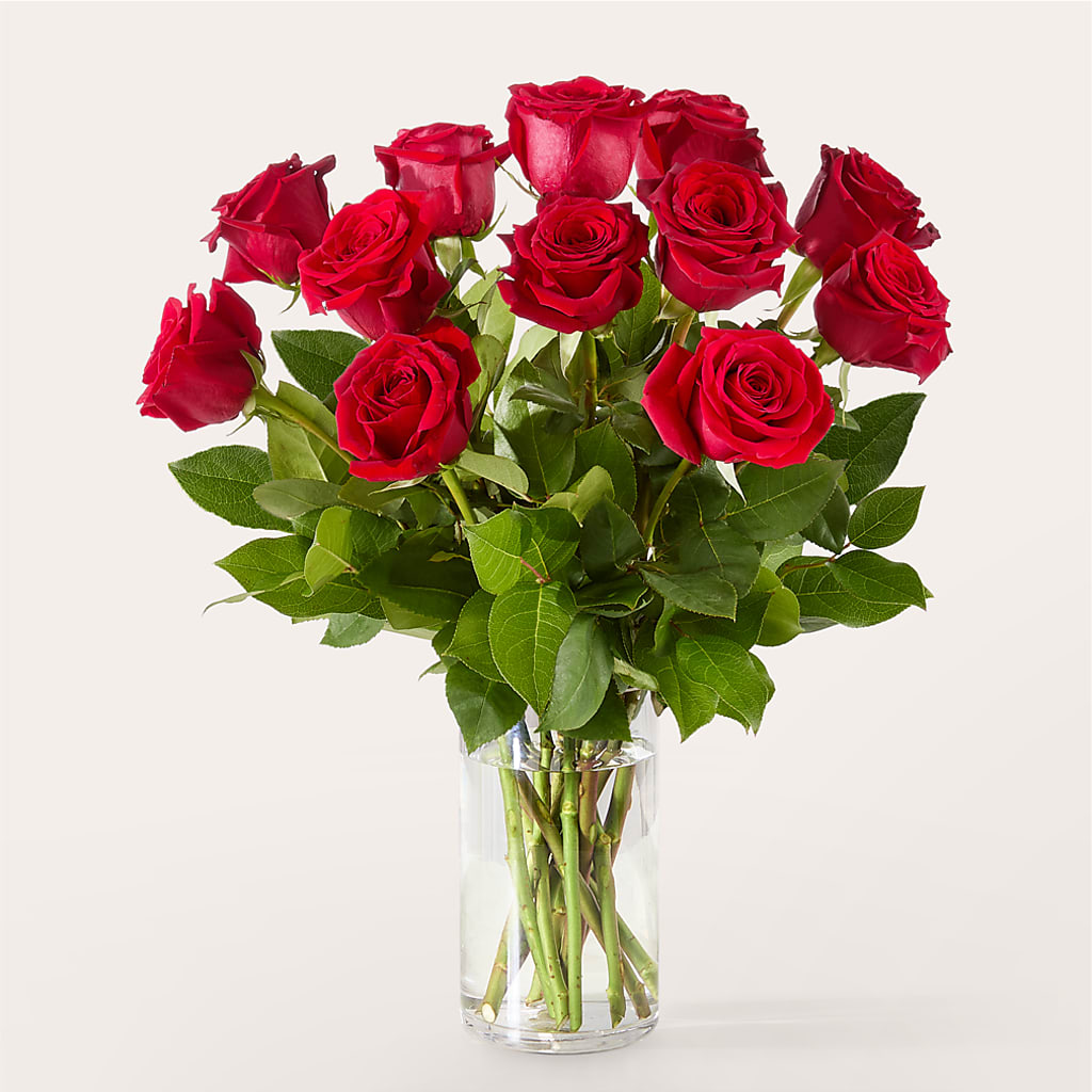 The One Red Rose Bouquet –  Blooms For You, Hamilton NJ