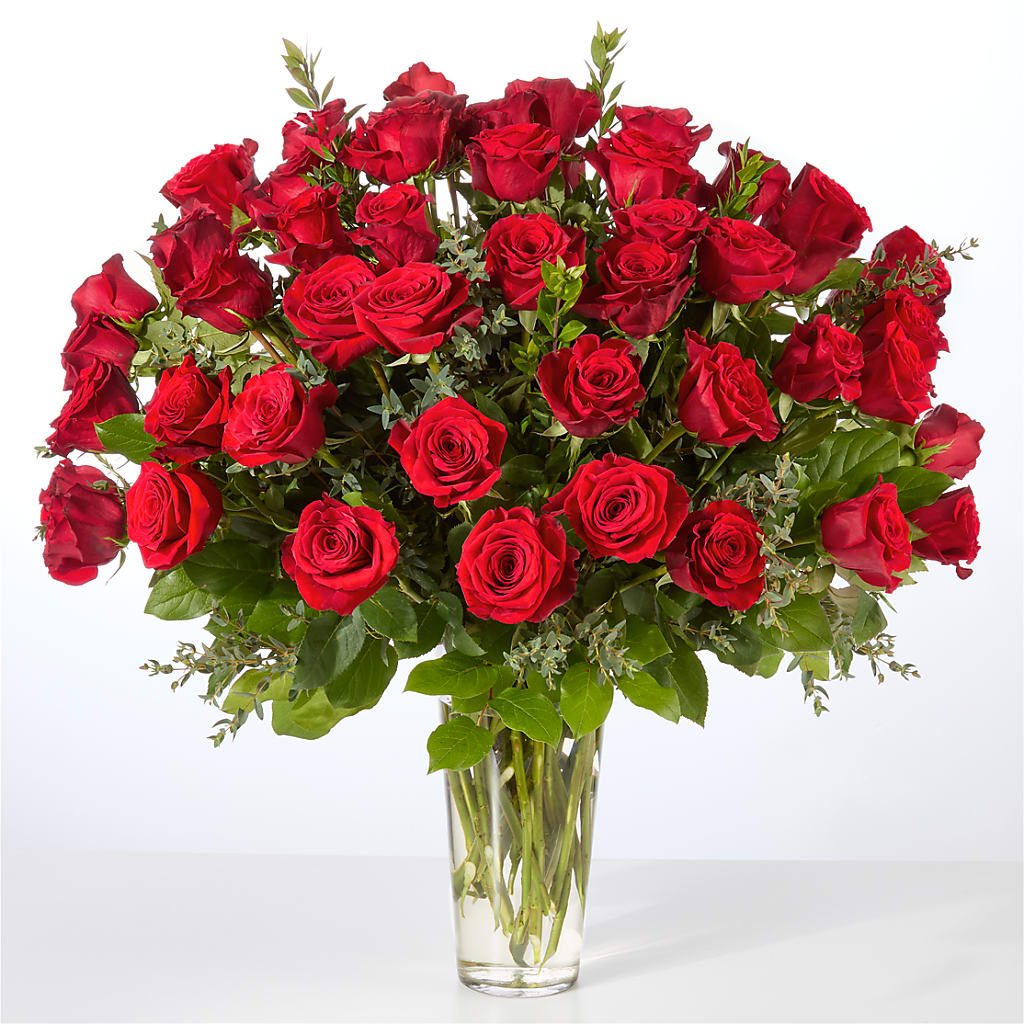 Forever Yours Fifty Stem Red Rose Bouquet –  Blooms For You, Hamilton NJ