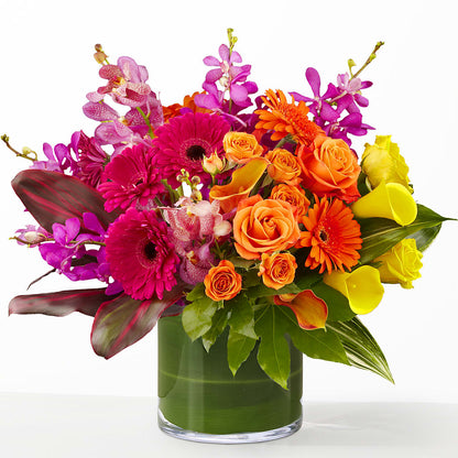 The Mosaic –  Blooms For You, Hamilton NJ