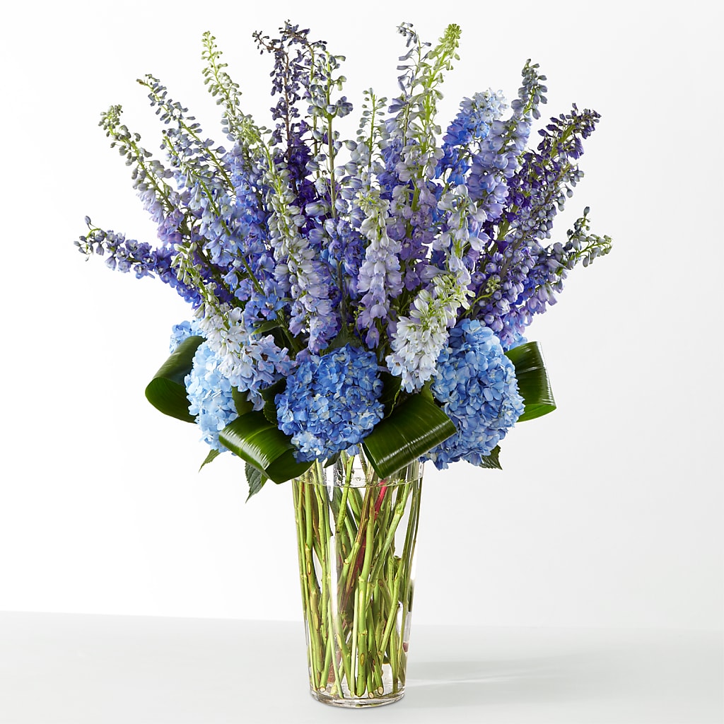 The Editorial –  Blooms For You, Hamilton NJ